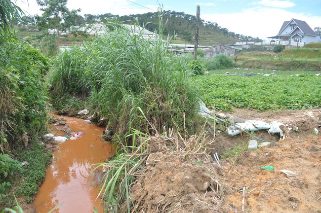 Hàng trăm hộ dân ở Đà Lạt bỏ hoang vườn tược vì nguồn nước bị ô nhiễm từ chợ nông sản - Ảnh 4.