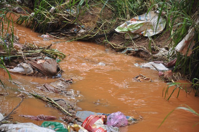 Hàng trăm hộ dân ở Đà Lạt bỏ hoang vườn tược vì nguồn nước bị ô nhiễm từ chợ nông sản - Ảnh 8.
