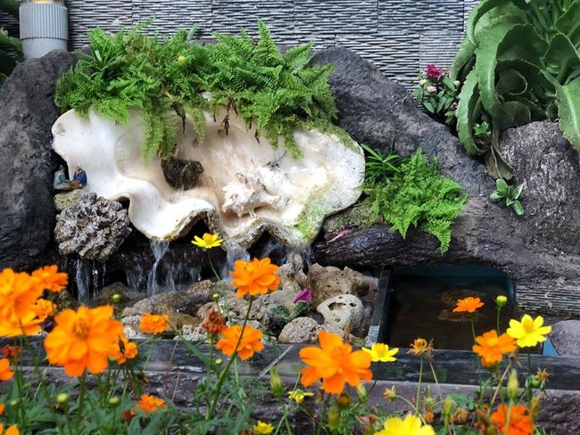 Ngắm vườn rau sạch và hoa tươi vô cùng bình yên của vợ chồng nghệ sĩ Hồng Vân và Lê Tuấn Anh - Ảnh 23.