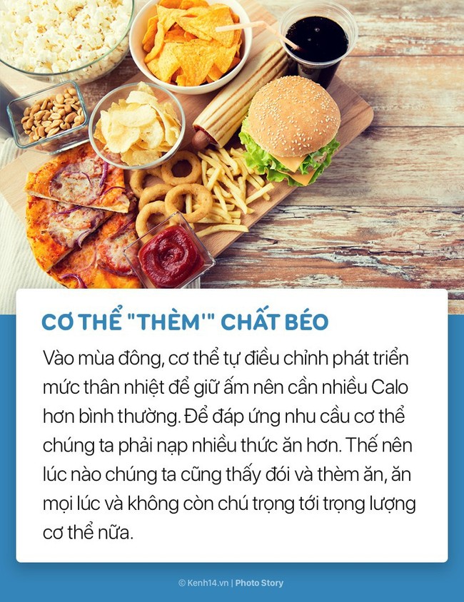 Cùng tìm ra thủ phạm khiến cân nặng tăng vùn vụt mỗi khi mùa lạnh đến - Ảnh 3.