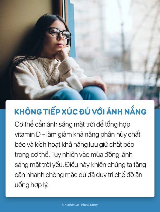 Cùng tìm ra thủ phạm khiến cân nặng tăng vùn vụt mỗi khi mùa lạnh đến - Ảnh 7.