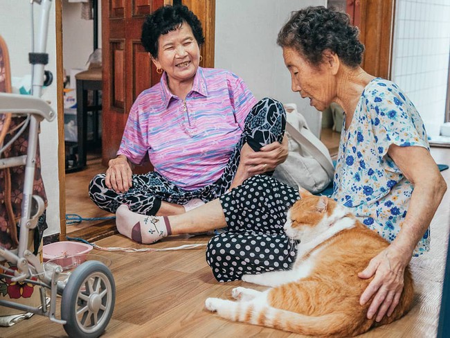 Bộ ảnh đầy cảm xúc của cụ bà Hàn Quốc: Tuổi già chẳng cần gì, chỉ cần một chú mèo béo bầu bạn thôi - Ảnh 6.