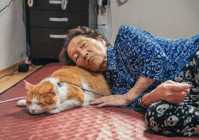 Bộ ảnh đầy cảm xúc của cụ bà Hàn Quốc: Tuổi già chẳng cần gì, chỉ cần một chú mèo béo bầu bạn thôi - Ảnh 8.