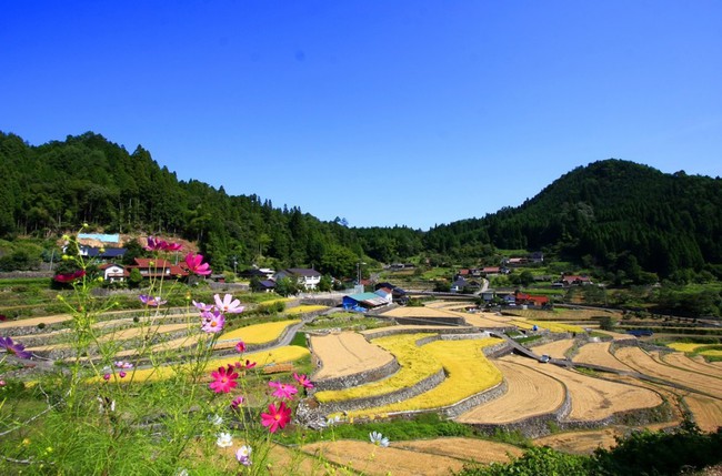 Những ngôi nhà an yên đẹp tựa tranh vẽ ở vùng nông thôn Nhật Bản - Ảnh 11.