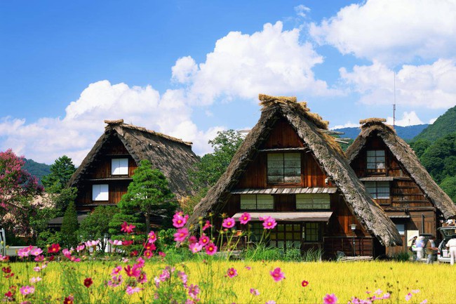 Những ngôi nhà an yên đẹp tựa tranh vẽ ở vùng nông thôn Nhật Bản - Ảnh 10.