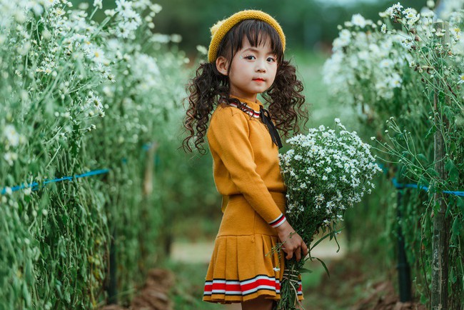 Đã xinh lại thần thái, bé gái Hà Nội dạo chơi trong vườn cúc họa mi khiến ai đi qua cũng phải ngoái nhìn - Ảnh 3.