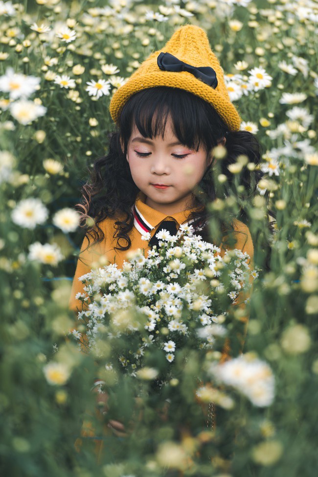 Đã xinh lại thần thái, bé gái Hà Nội dạo chơi trong vườn cúc họa mi khiến ai đi qua cũng phải ngoái nhìn - Ảnh 11.