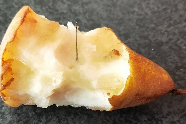 Vừa bắt được nghi phạm nhét kim vào dâu tây, người dân Melbourne lại kinh hoàng phát hiện kim khâu trong quả lê - Ảnh 1.