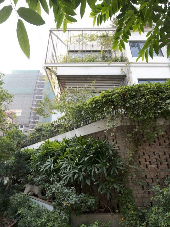 Ngôi nhà 128m² chịu nắng hướng Tây nhưng vẫn vô cùng thoáng mát nhờ phủ đầy cây xanh ở Hoàn Kiếm, Hà Nội - Ảnh 4.
