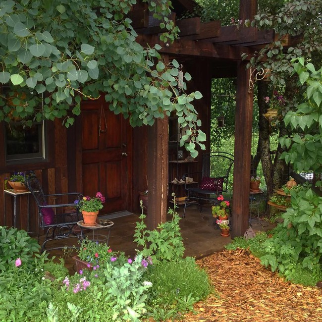 Cuộc sống đẹp như cổ tích của cặp vợ chồng trong căn nhà gỗ cùng mảnh vườn rộng 1.700m²  - Ảnh 1.