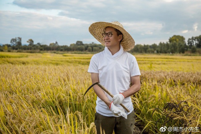 Không hề nghèo khó, Nhĩ Khang Châu Kiệt hạnh phúc với cuộc sống làm nông dân trồng lúa - Ảnh 9.