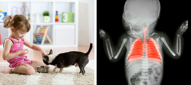 8 sản phẩm nguy hiểm cho trẻ nhỏ bố mẹ nên suy nghĩ 2 lần trước khi mua - Ảnh 3. 8 sản phẩm nguy hiểm cho trẻ nhỏ bố mẹ nên suy nghĩ 2 lần trước khi mua - Ảnh 3.