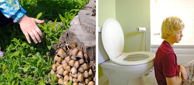 8 sản phẩm nguy hiểm cho trẻ nhỏ bố mẹ nên suy nghĩ 2 lần trước khi mua - Ảnh 7. 8 sản phẩm nguy hiểm cho trẻ nhỏ bố mẹ nên suy nghĩ 2 lần trước khi mua - Ảnh 7.