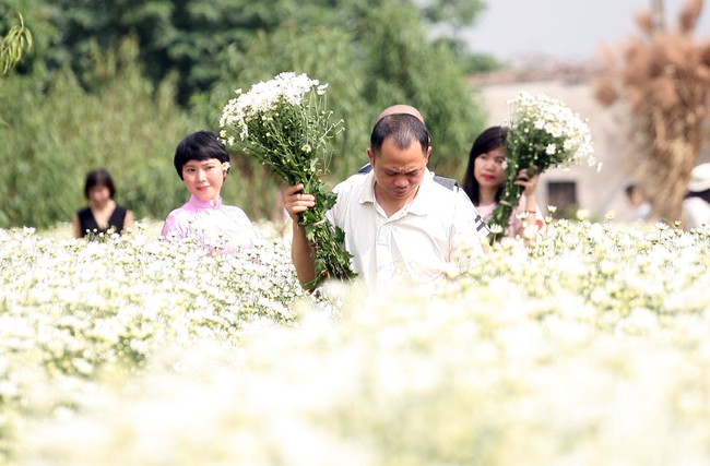 Phụ nữ, trẻ em chen nhau tạo dáng chụp ảnh kín đặc vườn cúc họa mi Nhật Tân - Ảnh 8.