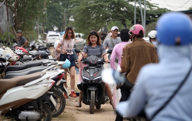 Phụ nữ, trẻ em chen nhau tạo dáng chụp ảnh kín đặc vườn cúc họa mi Nhật Tân - Ảnh 16.