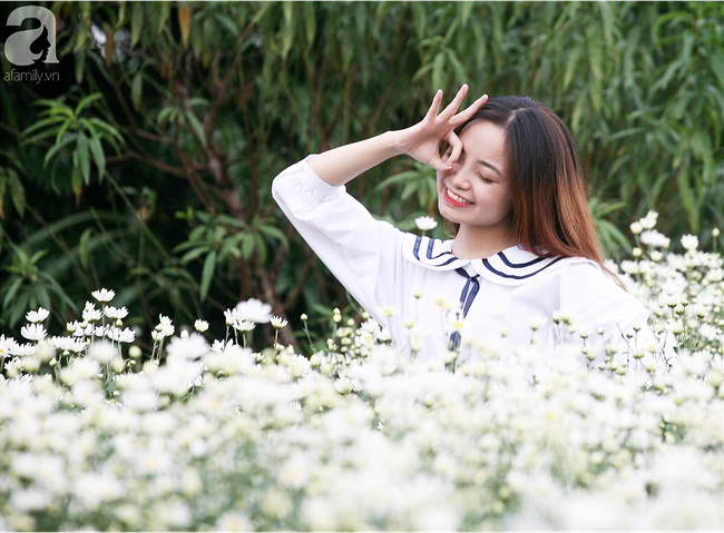 Tháng 11 Hà Nội, đến đâu sẽ nhìn thấy gái xinh nhiều nhất? Xin thưa, vườn cúc họa mi! - Ảnh 9. Tháng 11 Hà Nội, đến đâu sẽ nhìn thấy gái xinh nhiều nhất? Xin thưa, vườn cúc họa mi! - Ảnh 9.