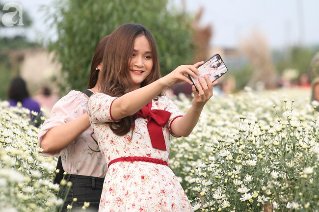 Tháng 11 Hà Nội, đến đâu sẽ nhìn thấy gái xinh nhiều nhất? Xin thưa, vườn cúc họa mi! - Ảnh 11. Tháng 11 Hà Nội, đến đâu sẽ nhìn thấy gái xinh nhiều nhất? Xin thưa, vườn cúc họa mi! - Ảnh 11.