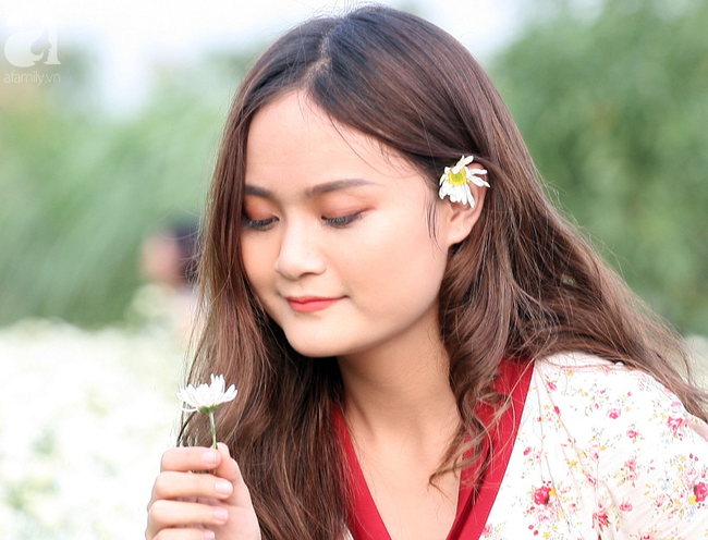Tháng 11 Hà Nội, đến đâu sẽ nhìn thấy gái xinh nhiều nhất? Xin thưa, vườn cúc họa mi! - Ảnh 12. Tháng 11 Hà Nội, đến đâu sẽ nhìn thấy gái xinh nhiều nhất? Xin thưa, vườn cúc họa mi! - Ảnh 12.