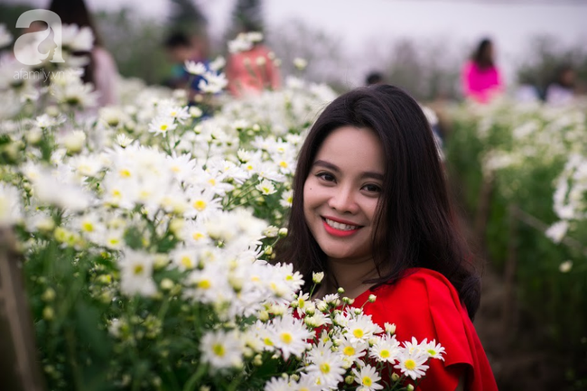 Tháng 11 Hà Nội, đến đâu sẽ nhìn thấy gái xinh nhiều nhất? Xin thưa, vườn cúc họa mi! - Ảnh 4. Tháng 11 Hà Nội, đến đâu sẽ nhìn thấy gái xinh nhiều nhất? Xin thưa, vườn cúc họa mi! - Ảnh 4.