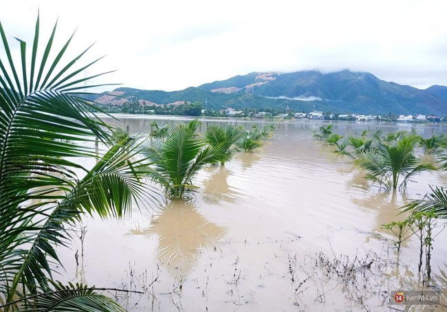 Mưa lũ, sạt lở kinh hoàng ở Nha Trang: Người dân dùng tay đào bới tìm thi thể bé trai và người phụ nữ trong đống đổ nát - Ảnh 8.