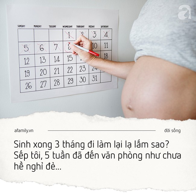 Chưa nghỉ sinh tôi đã sợ bị nghỉ việc vì người khác thế chỗ mình - nhật ký giấu kín của bà bầu công sở - Ảnh 4.