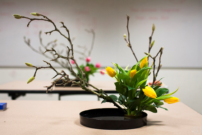 Ikebana - Nghệ thuật cắm hoa kết tinh từ triết lý sống của người dân đất nước Nhật Bản - Ảnh 20.
