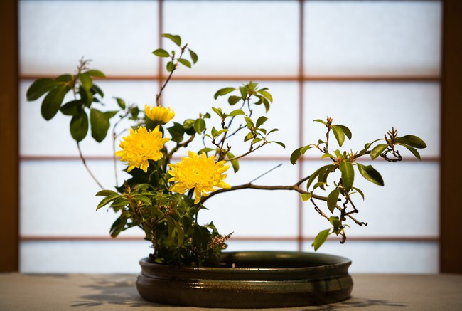 Ikebana - Nghệ thuật cắm hoa kết tinh từ triết lý sống của người dân đất nước Nhật Bản - Ảnh 7.
