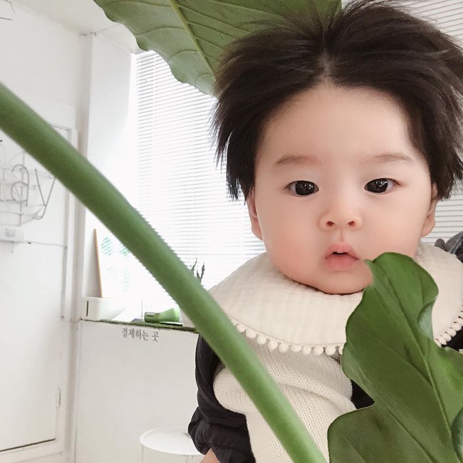 Cậu bé Hàn Quốc với quả đầu chôm chôm đáng yêu đến mức ai cũng muốn đem về nuôi - Ảnh 5.