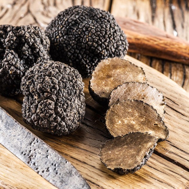 Truffle - loại nấm đắt nhất thế giới được mệnh danh là kim cương đen của nền ẩm thực: 140 triệu/kg - Ảnh 1.