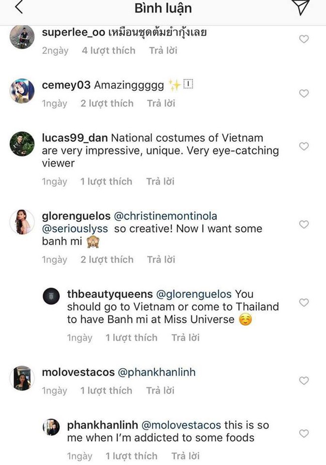 Trong khi khán giả Việt Nam tranh cãi, fan thế giới lại ủng hộ trang phục bánh mì của HHen Niê  - Ảnh 4.
