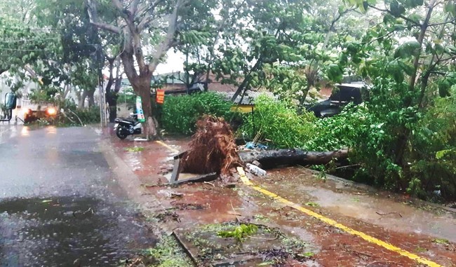 Bão số 9 suy yếu nhưng vẫn hoành hành Sài Gòn gây giông lốc, người miền Tây mòn mỏi trú bão chưa dám về nhà - Ảnh 2.