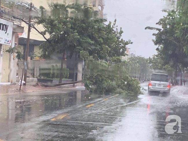 Cập nhật: Bão số 9 đổ bộ tàn phá Vũng Tàu, nhiều cây lớn ngã đổ, đường phố tan hoang - Ảnh 7.
