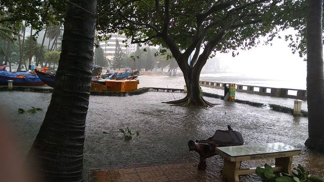 Cập nhật về bão số 9: Sài Gòn mưa trắng trời khiến cây xanh ngã đổ, Vũng Tàu vẫn đang oằn mình chống bão - Ảnh 12.
