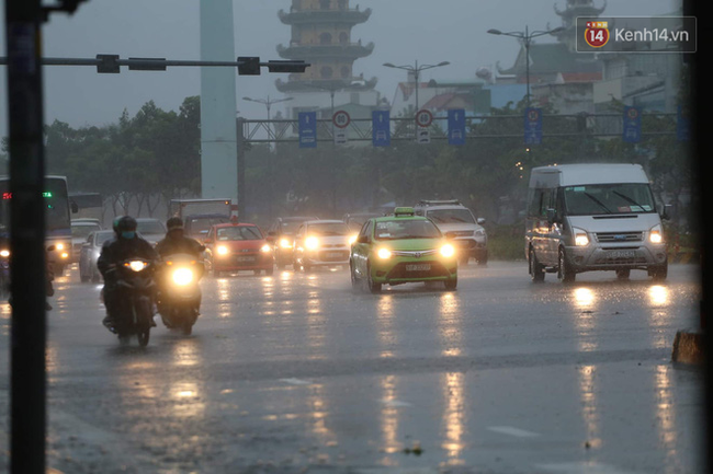 Cập nhật về bão số 9: Sài Gòn mưa trắng trời khiến cây xanh ngã đổ, Vũng Tàu vẫn đang oằn mình chống bão - Ảnh 2.