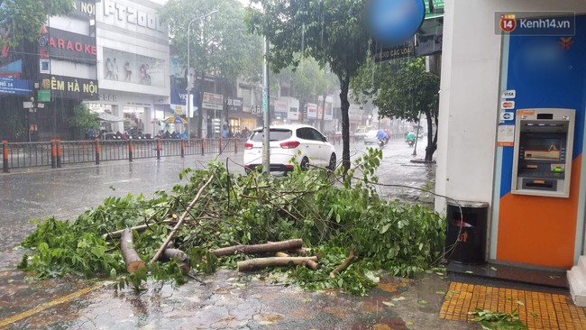 Cập nhật về bão số 9: Sài Gòn mưa trắng trời khiến cây xanh ngã đổ, Vũng Tàu vẫn đang oằn mình chống bão - Ảnh 4.