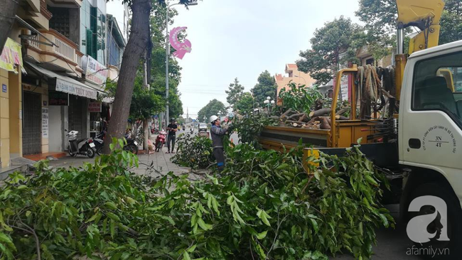 Khẩn cấp: Bão Usagi sắp đổ bộ Vũng Tàu, TP.HCM mưa lớn, nguy cơ lũ quét và sạt lở nhiều tỉnh - Ảnh 9.