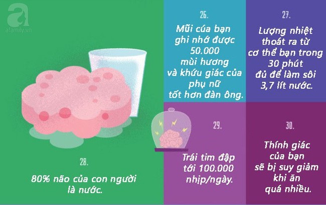 15 hình ảnh chứng minh cơ thể con người là một thế giới huyền bí phức tạp và kỳ diệu đến không thể tin nổi - Ảnh 11.