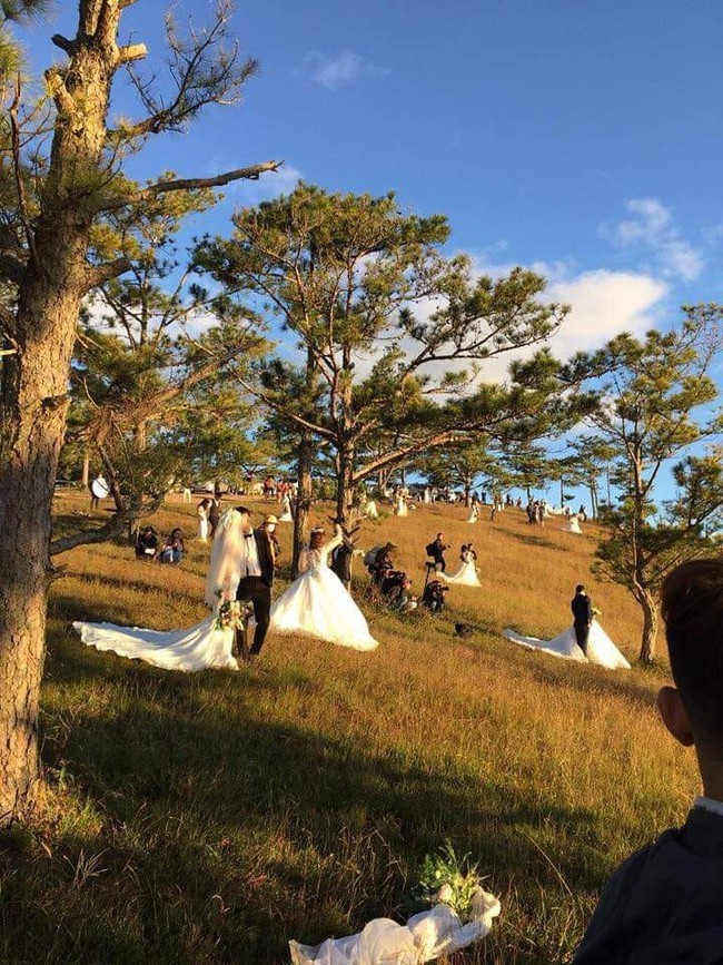 Bức ảnh ấn tượng nhất cuối tuần: Đà Lạt 1 mét vuông 10 đôi chụp ảnh cưới và phản ứng hài hước của dân mạng - Ảnh 1.