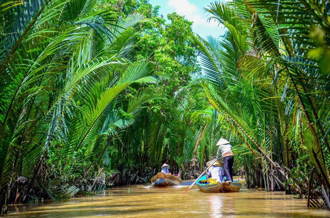 Báo Tây mách 7 trải nghiệm du lịch phải làm ở Việt Nam, số 7 khó thực hiện nhưng là mơ ước của nhiều người - Ảnh 5.