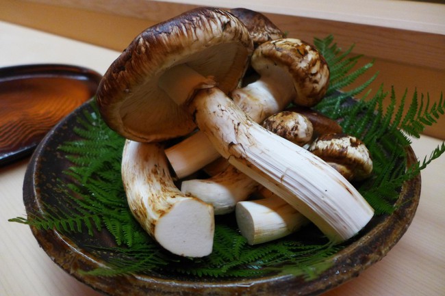 Gần 50 triệu/kg mà vẫn cháy hàng, loại nấm này có gì lại hét giá cắt cổ thế nhỉ? - Ảnh 4. Gần 50 triệu/kg mà vẫn cháy hàng, loại nấm này có gì lại hét giá cắt cổ thế nhỉ? - Ảnh 4.