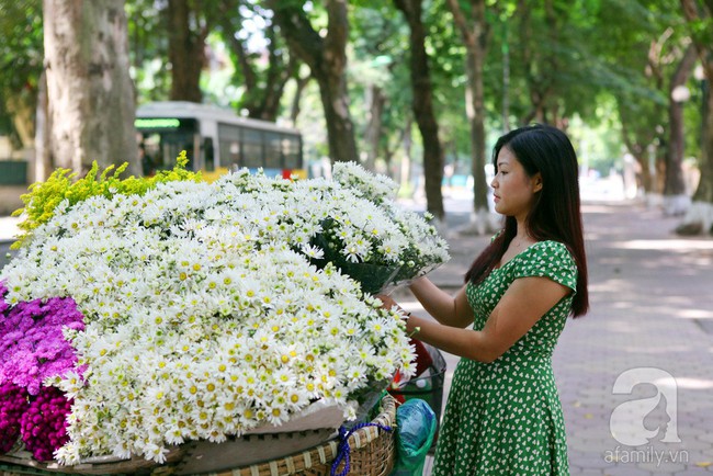 5 sắc hoa đẹp dịu dàng được mong chờ nhất tháng 11 - Ảnh 2.