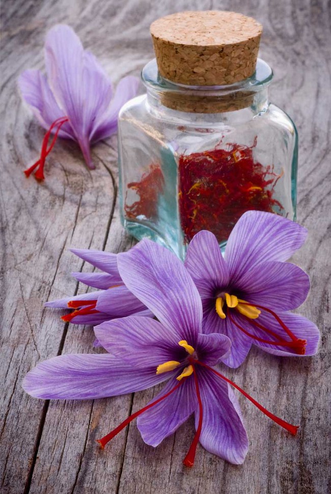 Vàng đỏ Saffron - gia vị đắt nhất thế giới từng được Nữ hoàng Ai Cập dùng dưỡng nhan hơn ngàn năm trước - Ảnh 8.