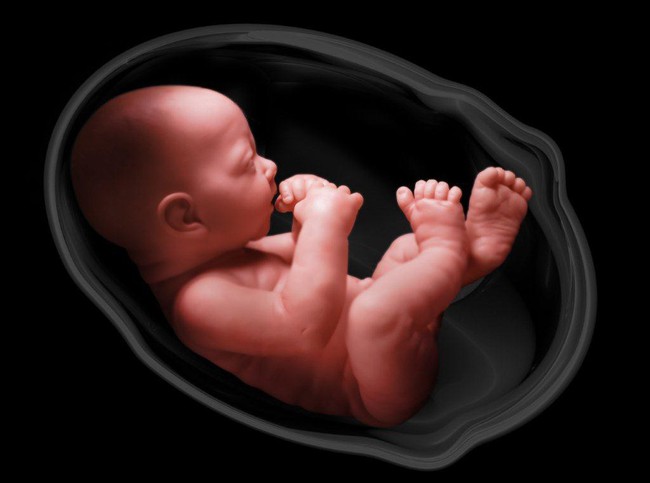 Không chỉ nghịch ngợm, khoa học tìm ra thêm 1 lý do đặc biệt khiến thai nhi liên tục đạp trong bụng mẹ - Ảnh 2.