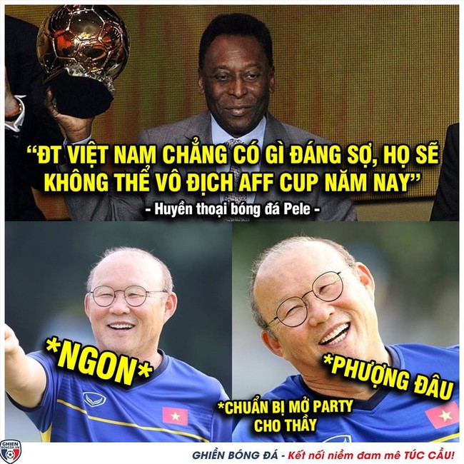 Ảnh chế đội tuyển Việt Nam vô địch AFF Cup 2018 khiến dân mạng cười té ghế - Ảnh 6.