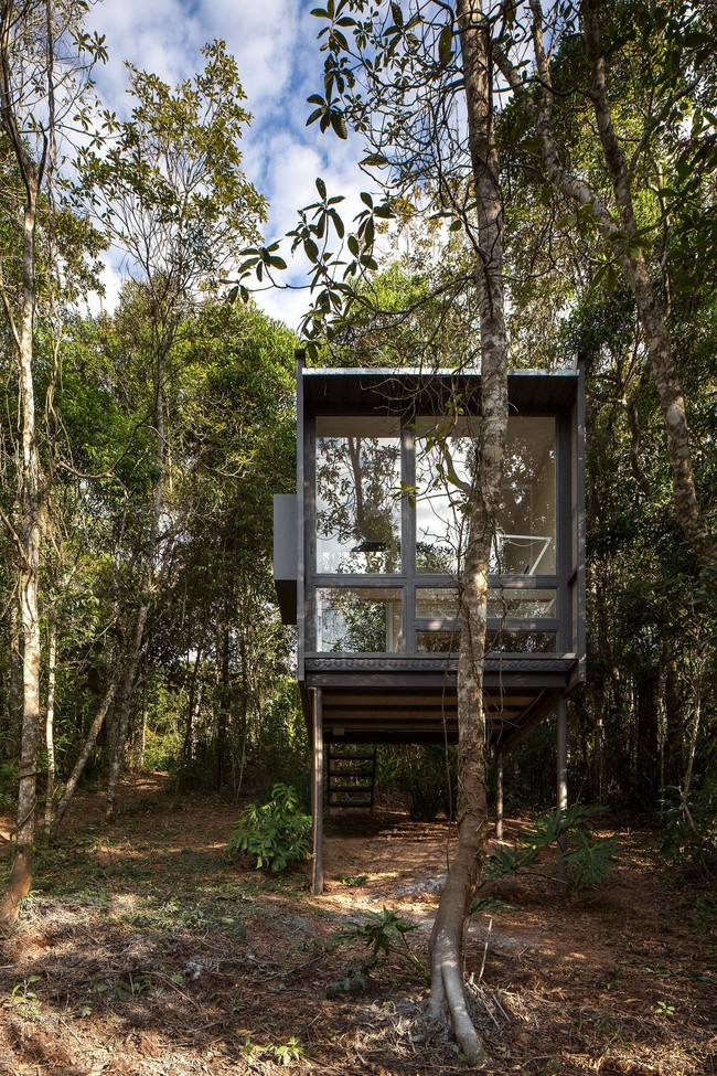 Cabin nhà nhỏ xinh ẩn náu trong rừng đẹp lạ như bước ra từ cổ tích - Ảnh 1.