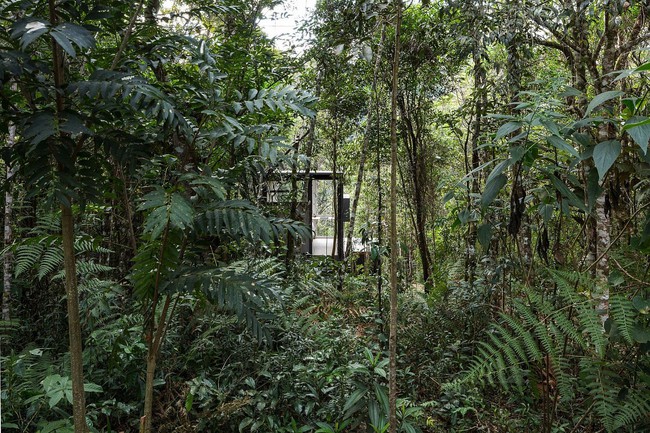 Cabin nhà nhỏ xinh ẩn náu trong rừng đẹp lạ như bước ra từ cổ tích - Ảnh 4.