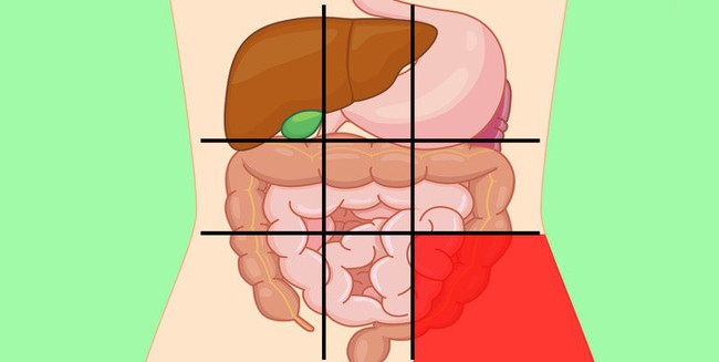 Nhờ bản đồ bụng này mà bạn sẽ biết các cơn đau ở mỗi vị trí trên bụng là do nguyên nhân nào gây ra - Ảnh 9.