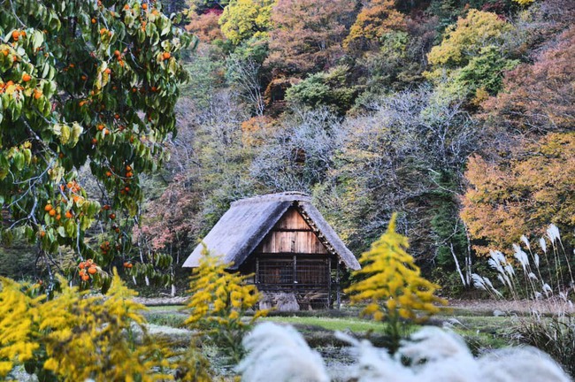 Shirakawa-go, ngôi làng đẹp như bước ra từ cổ tích, nơi thai nghén bộ truyện Doraemon nổi tiếng của Nhật Bản - Ảnh 4.