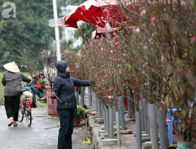 Hà Nội: Người dân ùn ùn kéo đến chợ hoa mua đào Nhật Tân trước thời khắc giao thừa - Ảnh 2.