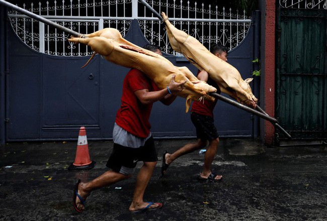 Không khí năm mới bao trùm Châu Á: Hồng Kông, Singapore, Bangkok hân hoan chào đón năm 2019 - Ảnh 58.